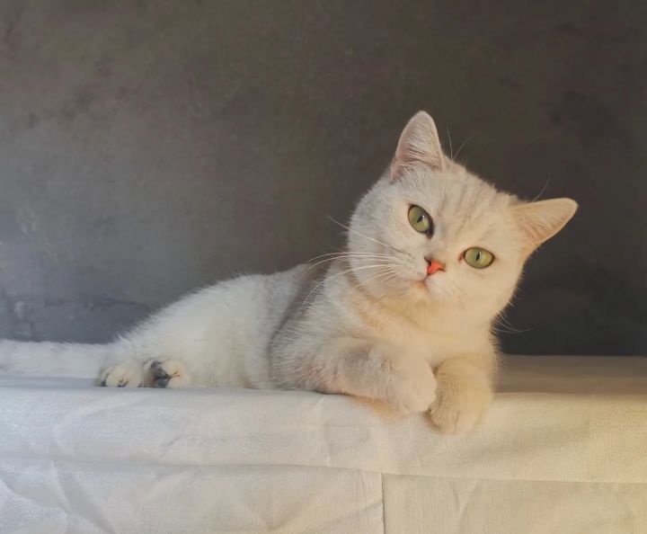 1627459490104128.jpg 640.webp (9).jpg