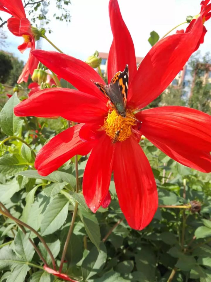 1636074194246486.jpg 640.webp (2).jpg