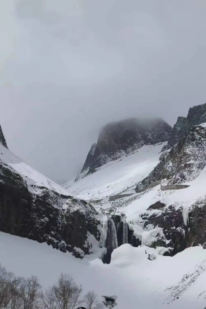 1627459875344255.jpg 640.webp (1).jpg