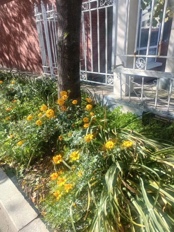 1636074323380831.jpg 640.webp (7).jpg