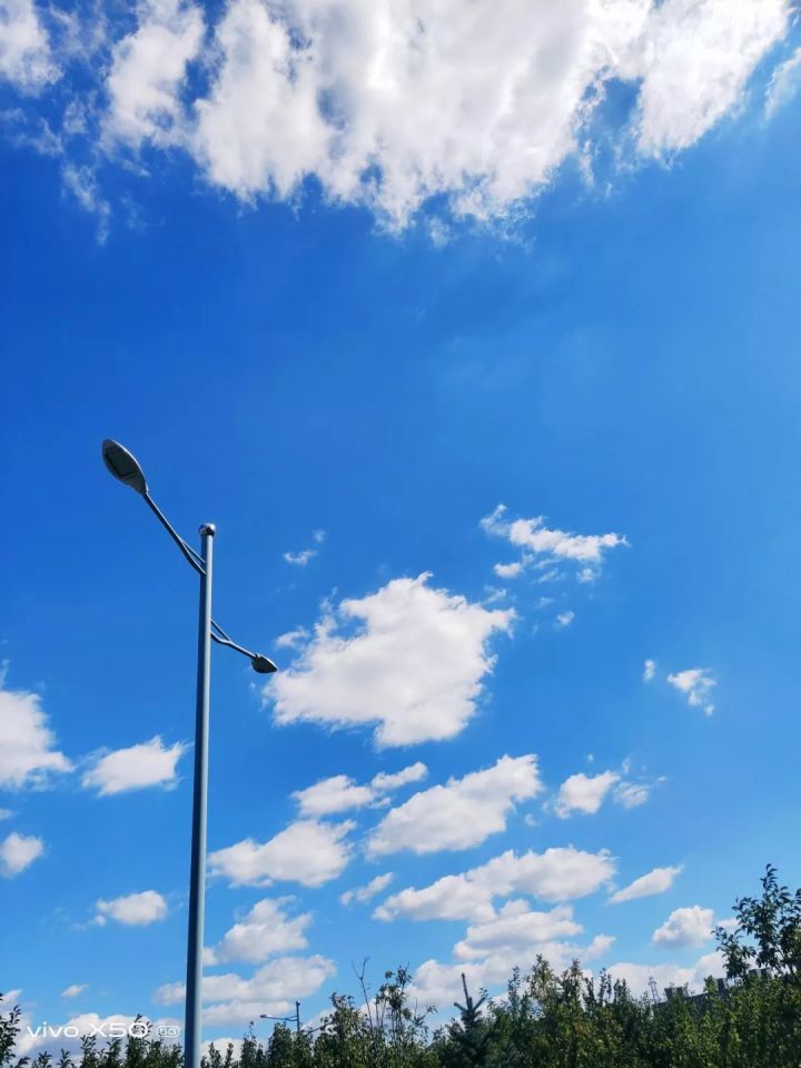 1636074506556831.jpg 640.webp (16).jpg