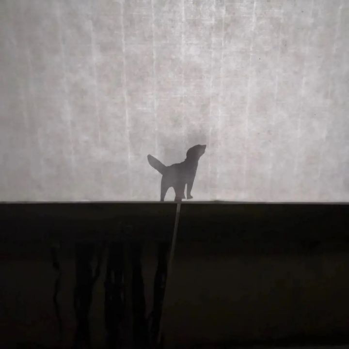 1639039751240246.jpg 640.webp (52).jpg