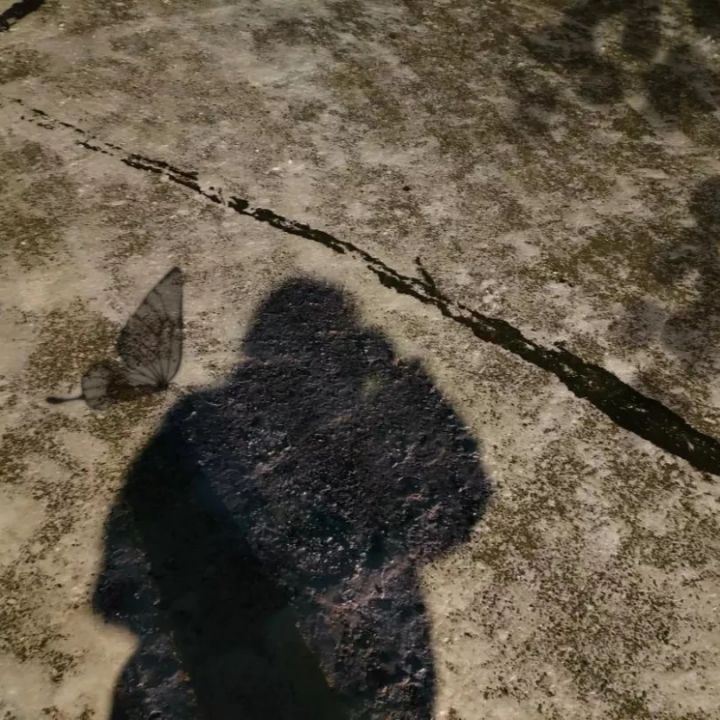 1639039542133325.jpg 640.webp (46).jpg