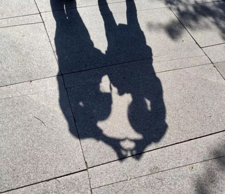 1638953031398388.jpg 640.webp (20).jpg