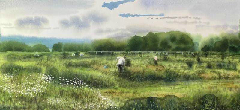 1600416073593838.jpg 001.jpg